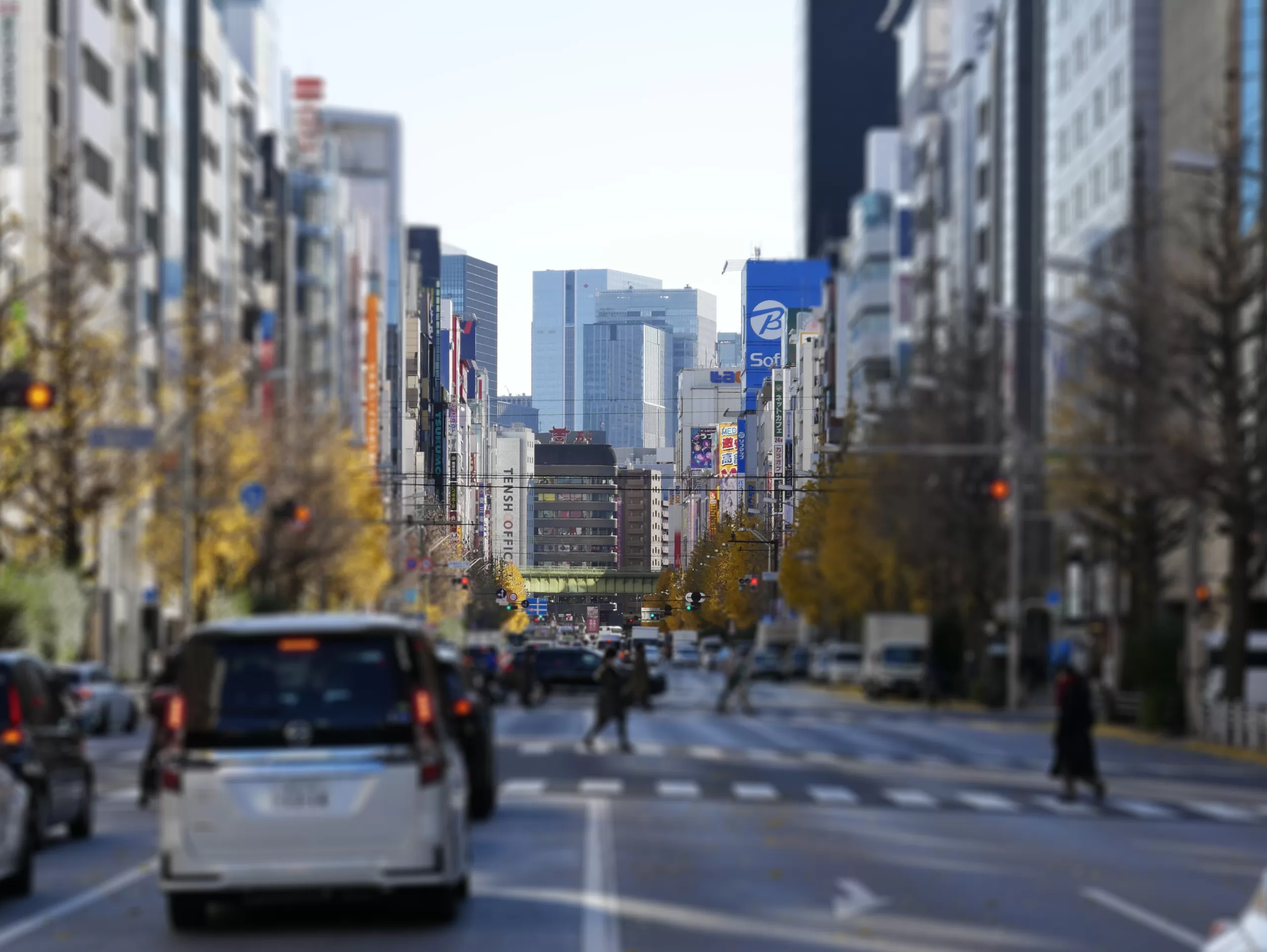 Traveling to Japan in January? Why not! - Japonsko bez cestovky