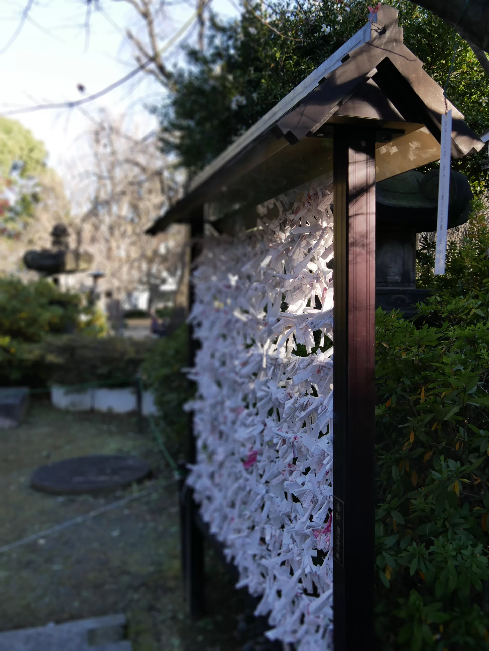 Traveling to Japan in January? Why not! - Japonsko bez cestovky
