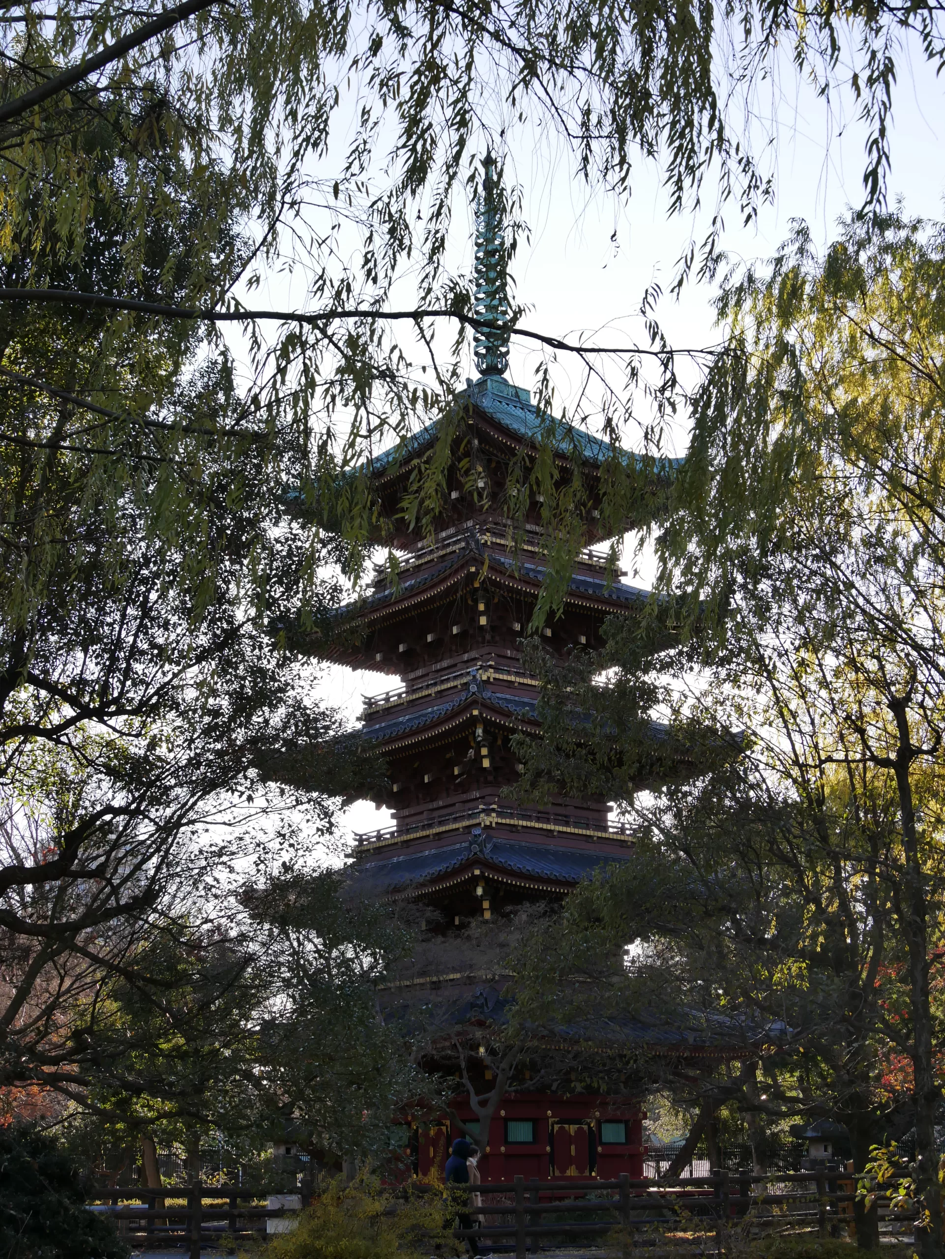 Ueno Zoo – nejstarší zoologická zahrada v Tokiu a domov slavných pand - Japonsko bez cestovky