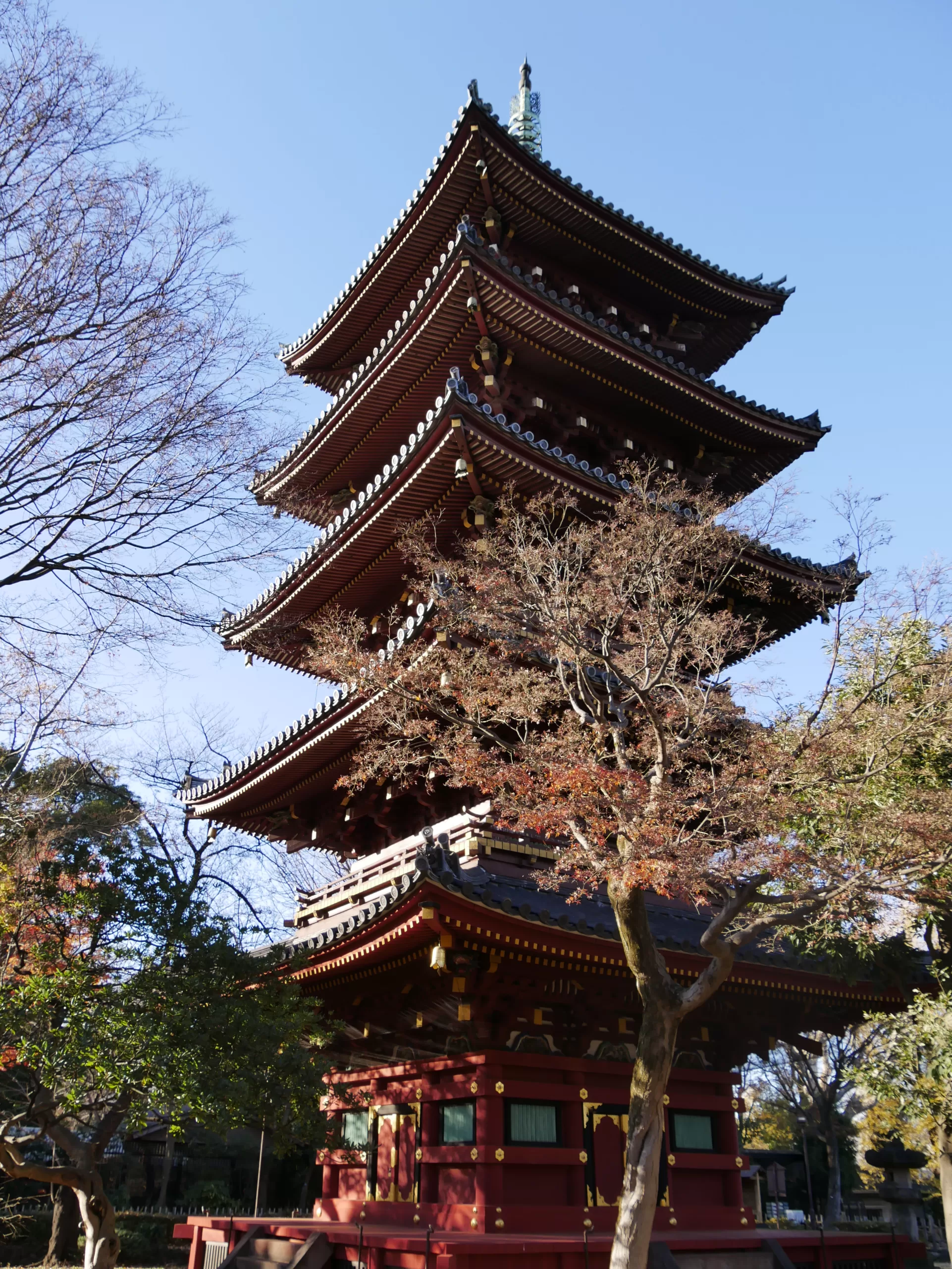 Traveling to Japan in January? Why not! - Japonsko bez cestovky