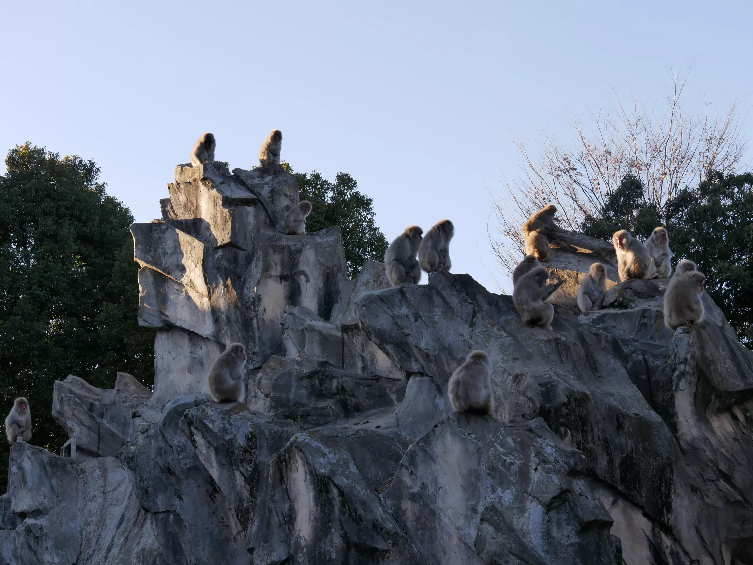 Ueno Zoo – nejstarší zoologická zahrada v Tokiu a domov slavných pand - Japonsko bez cestovky