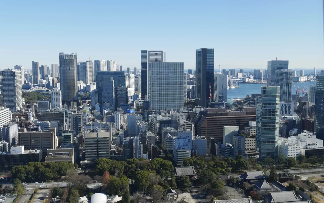 Traveling to Japan in January? Why not!