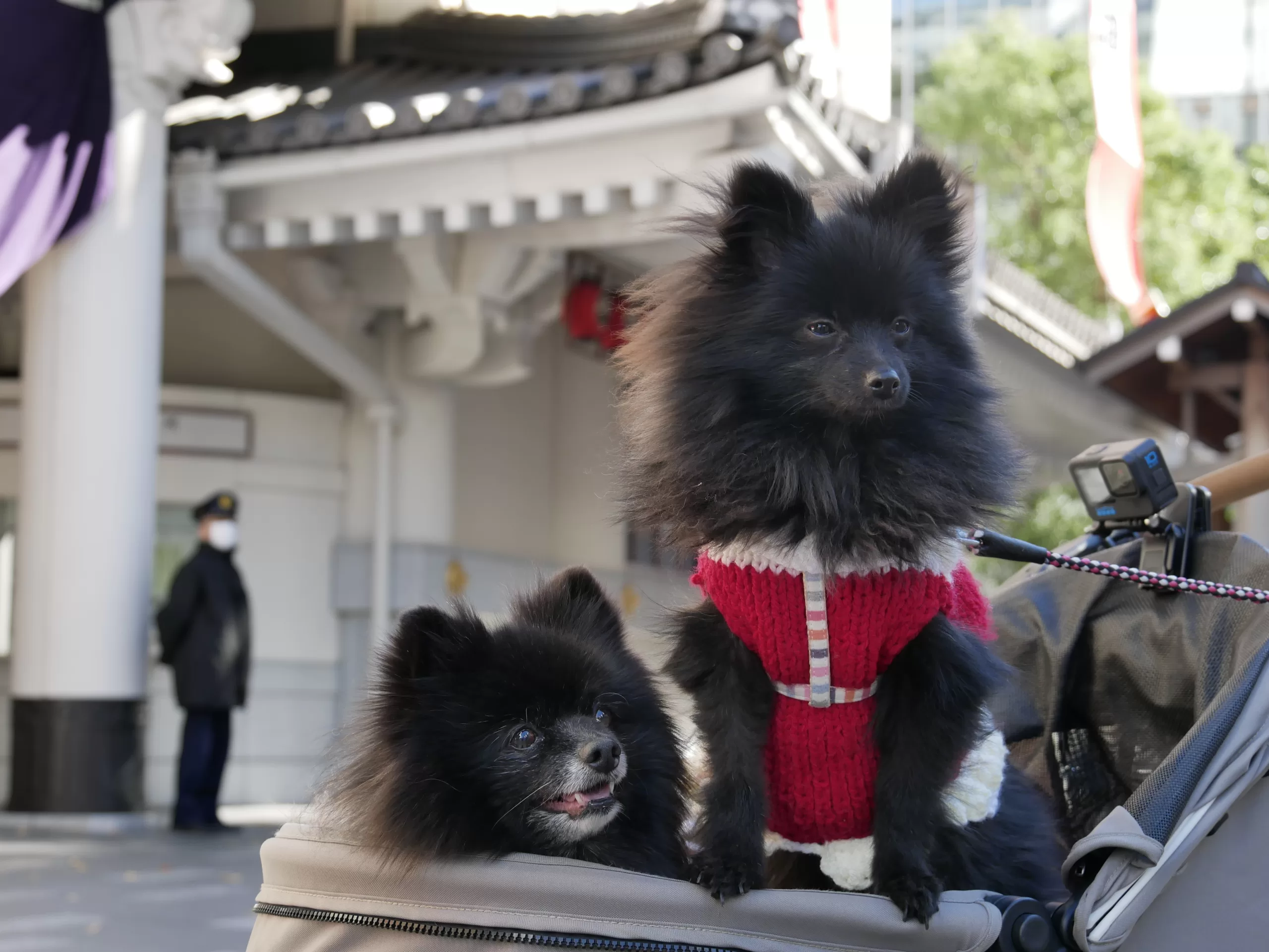 Traveling to Japan in January? Why not! - Japonsko bez cestovky