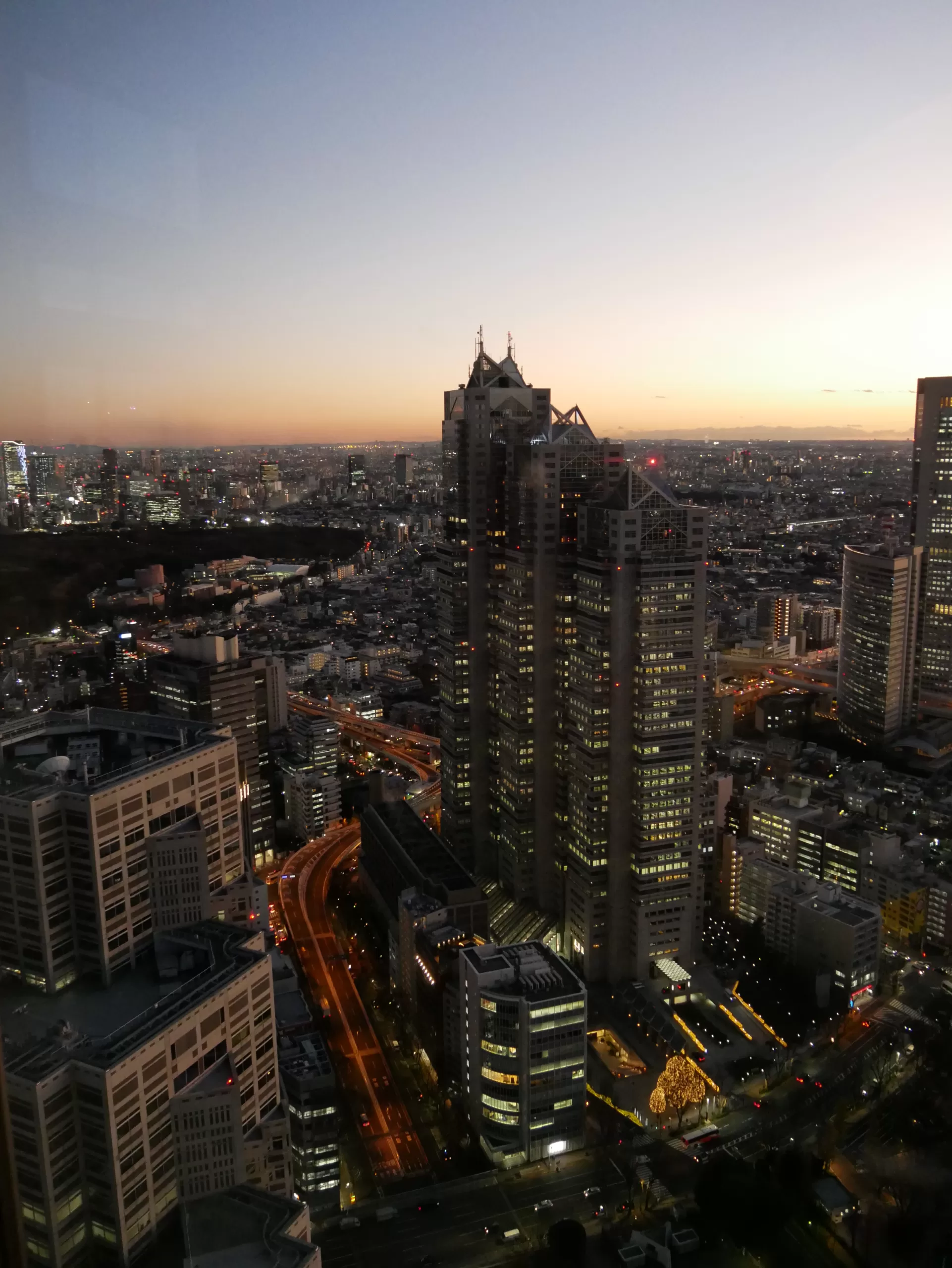 Tokyo Metropolitan Government Building – úžasný výhled na Tokio úplně zdarma - Japonsko bez cestovky