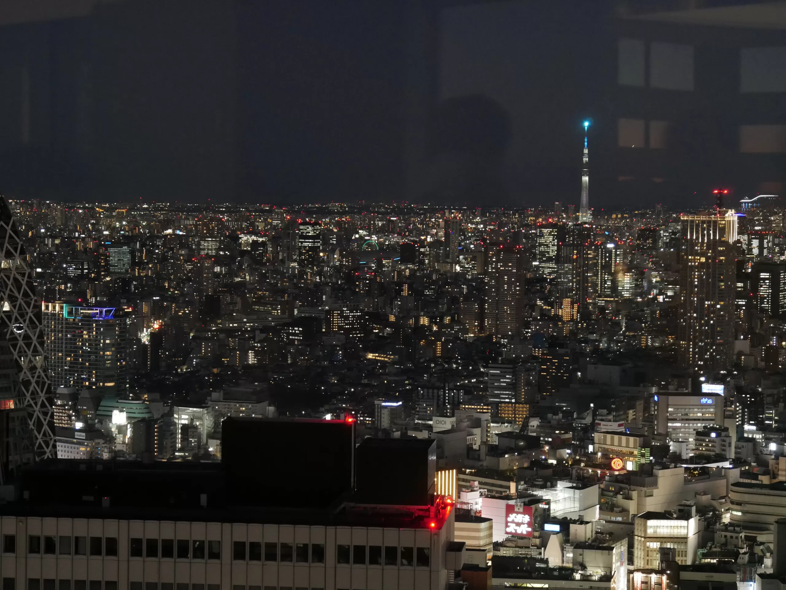 Tokyo Metropolitan Government Building – úžasný výhled na Tokio úplně zdarma - Japonsko bez cestovky