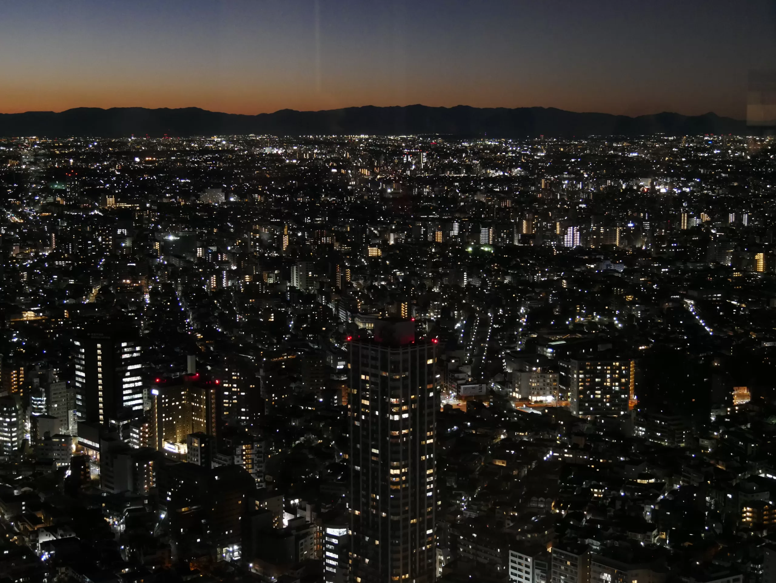 Tokyo Metropolitan Government Building – úžasný výhled na Tokio úplně zdarma - Japonsko bez cestovky