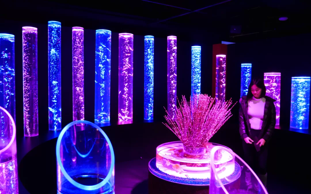Art Aquarium muzeum Ginza – magické místo uprostřed nejznámější ulice v Tokiu