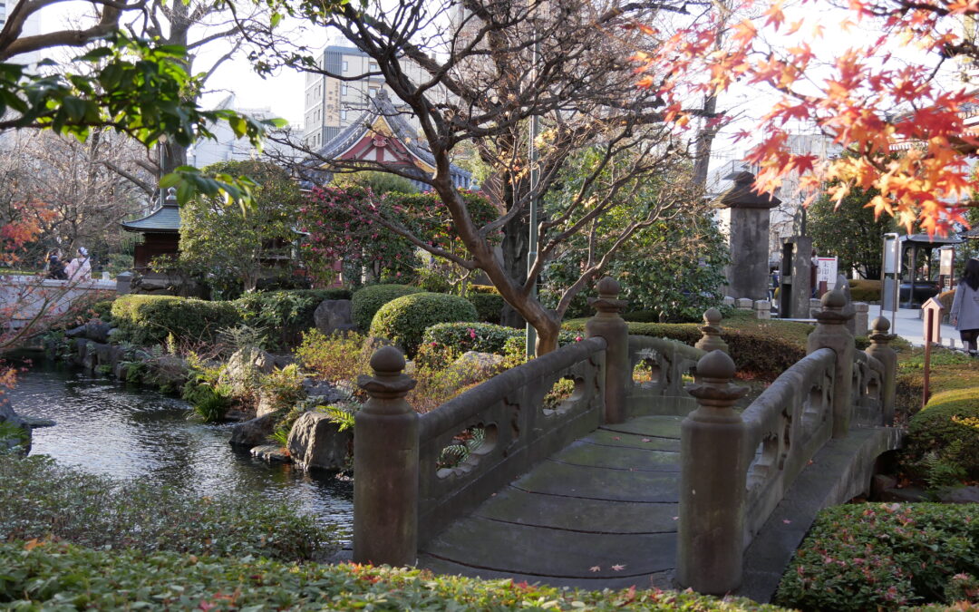 Ukázkový jednodenní itinerář: Tokio – Japonsko