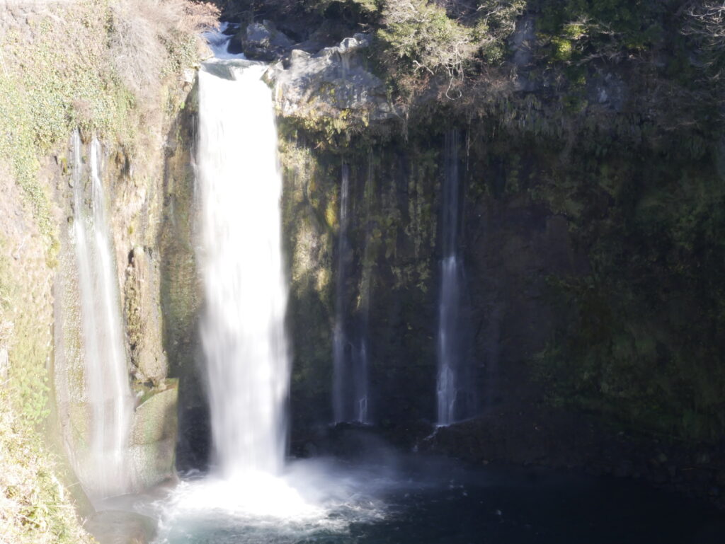 _1200424